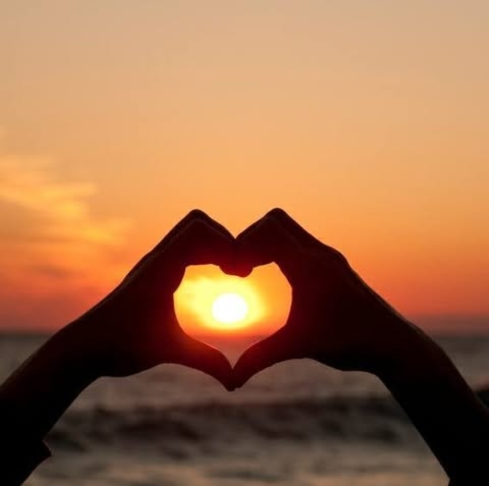 Meet your Posher, Jan